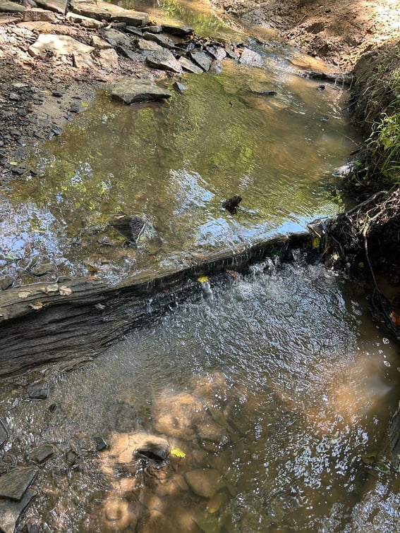 Laurel Run Stream